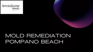 Mold Remediation Pompano Beach | ServiceMaster Remediation Services