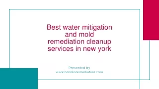 Best water mitigation and mold remediation cleanup services new york