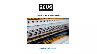 ZEUS ELECTRIC SOLUTIONS LTD