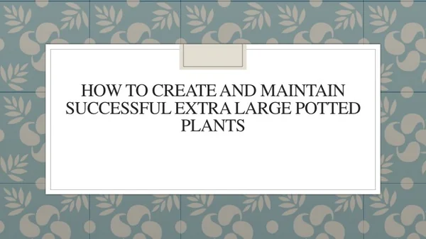 How To Create And Maintain Successful Extra Large Potted Plants