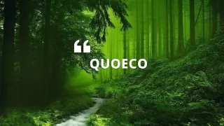 World's first eco-frienldy social media platform that plant trees.