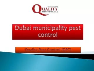 Dubai municipality pest control