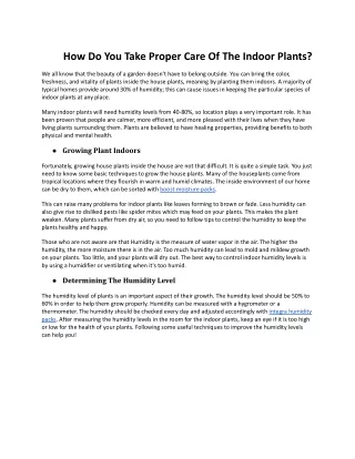 How Do You Take Proper Care Of The Indoor Plants?
