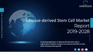 adipose derived stem cell market overview report