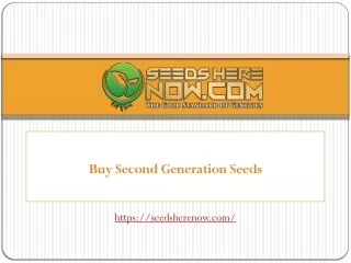 Greenlight Seeds Online