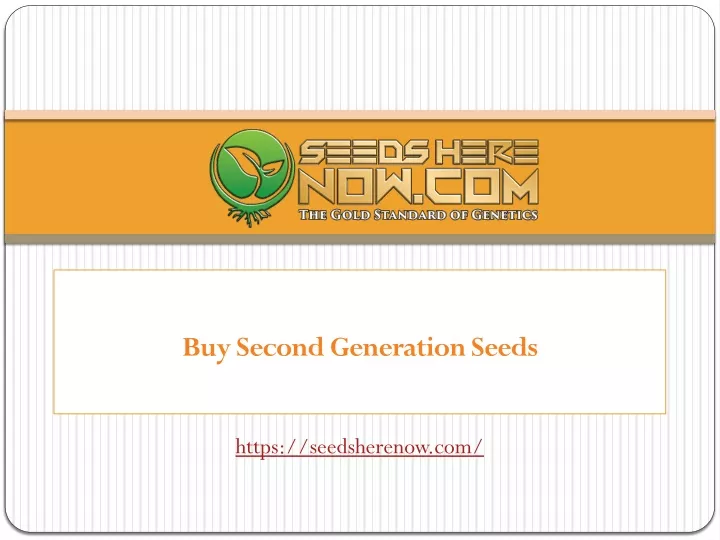 buy second generation seeds