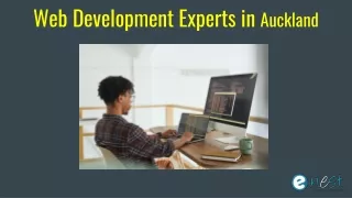 web development experts in auckland