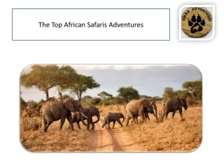 To Service Tanzania Wildlife Safaris