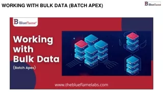 Working With Bulk Data (Batch Apex)