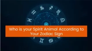 Who is your Spirit Animal According to Your Zodiac Sign