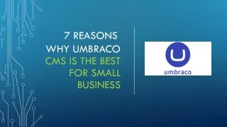 7 Reasons Why Umbraco CMS is the Best for Small Business