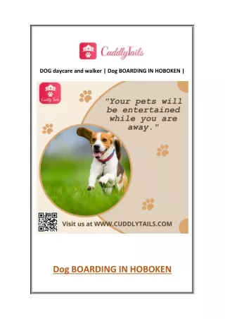 DOG daycare and walker | Dog BOARDING IN HOBOKEN | cuddlytails.com