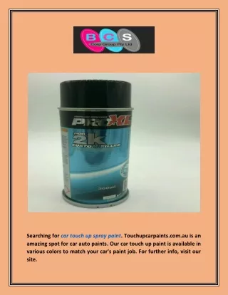searching for car touch up spray paint