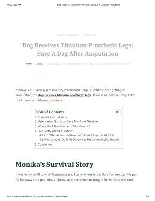 Dog Receives Titanium Prosthetic Legs_ Save A Dog After Amputation
