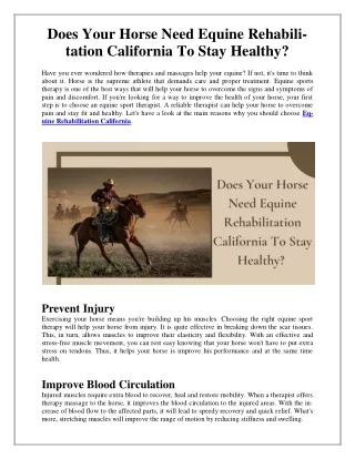 Does Your Horse Need Equine Rehabilitation California To Stay Healthy