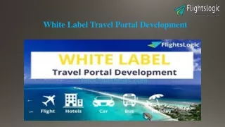 white label travel portal development