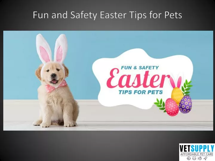fun and safety easter tips for pets