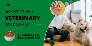 Friandises pour chats par Geneva