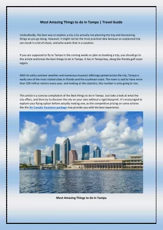 most amazing things to do in tampa travel guide