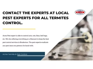 Contact the experts at local pest experts for all termites control