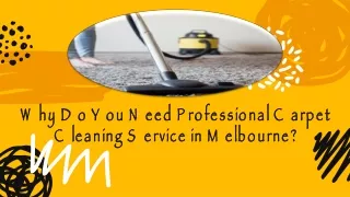Why Do You Need Professional Carpet Cleaning Service in Melbourne?