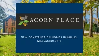 new construction homes in millis massachusetts