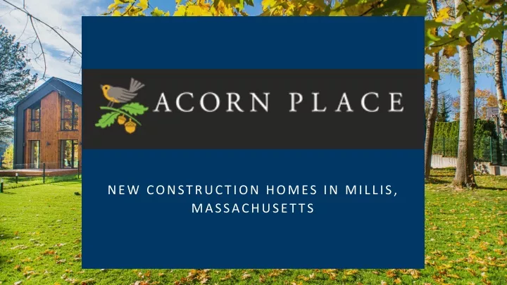 new construction homes in millis massachusetts