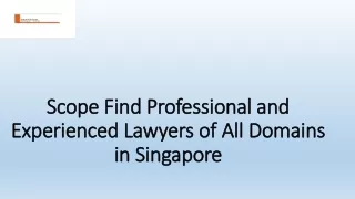 Professional and Experienced Lawyers of All Domains in Singapore