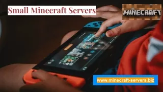 Small Minecraft Servers