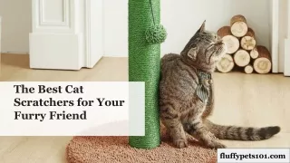 Cat Scratch Posts