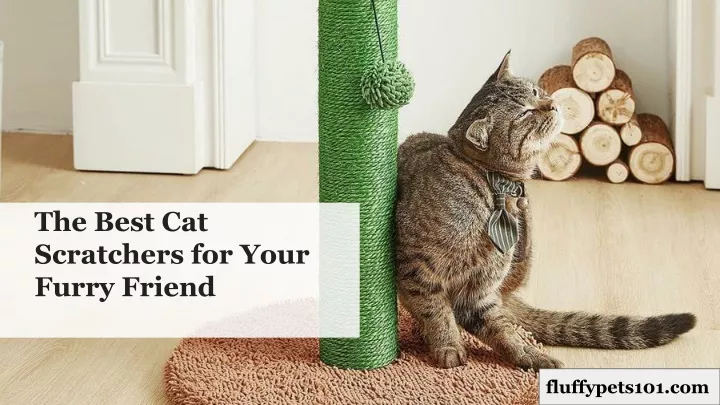 the best cat scratchers for your furry friend