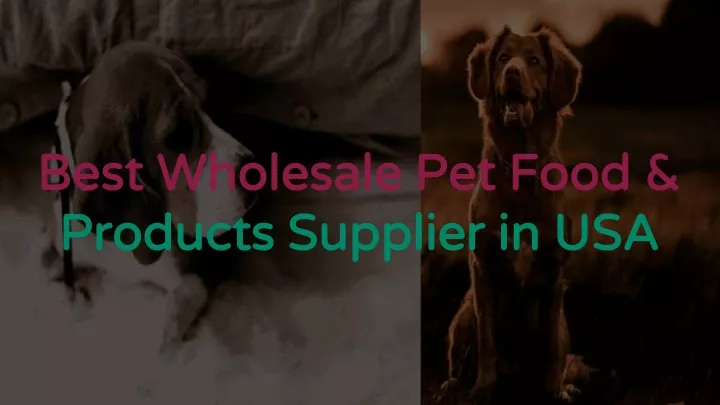 best wholesale pet food best wholesale pet food