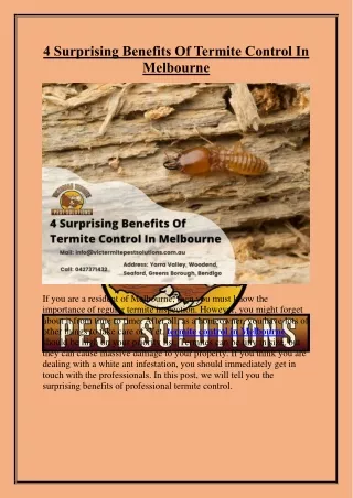 4 Surprising Benefits Of Termite Control In Melbourne