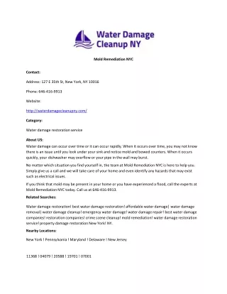 Mold Remediation NYC