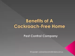 Benefits of A Cockroach-Free Home