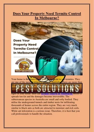 Does Your Property Need Termite Control In Melbourne?