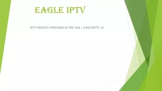 Iptv Service Provider In The Usa | Eagleiptv.is