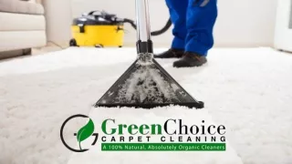 Experienced Service Provider For Carpet Cleaning