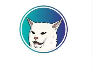 Kitty Meme Coin