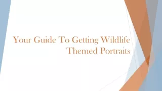 Tips To Follow Before Getting Horse-Themed Portraits