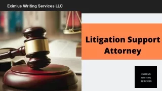 Litigation support attorney- Eximius Writing Services LLC