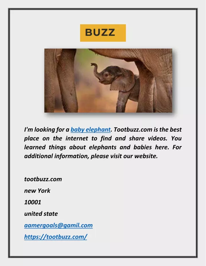 i m looking for a baby elephant tootbuzz
