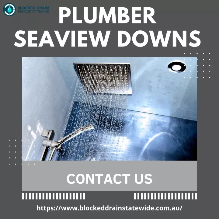 plumber seaview downs