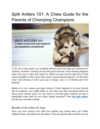 Split Antlers 101_ A Chew Guide for the Parents of Chomping Champions