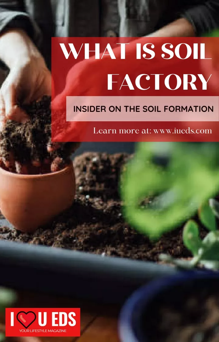 what is soil factory