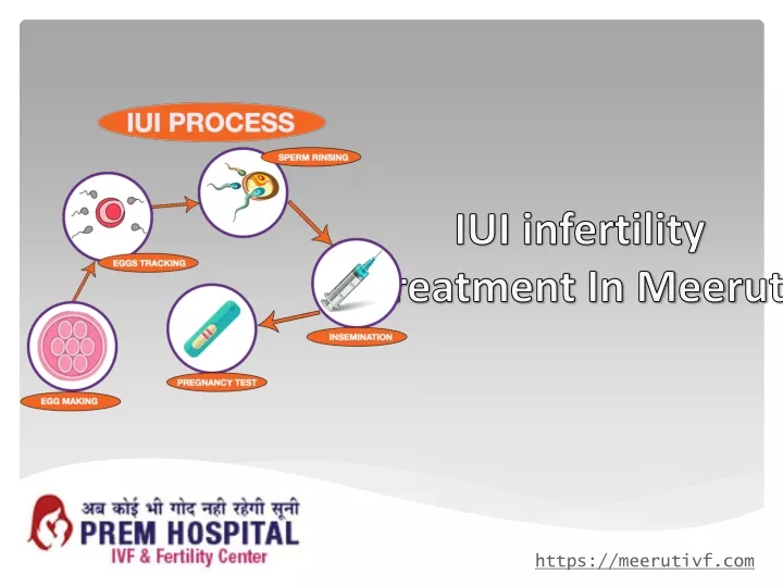 iui infertility treatment in meerut