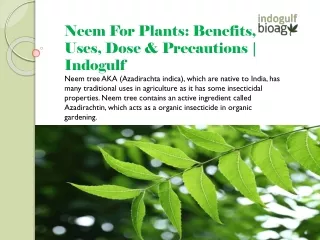 Neem For Plants: Benefits, Uses, Dose & Precautions | Indogulf