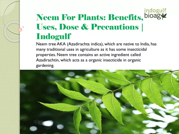 neem for plants benefits uses dose precautions