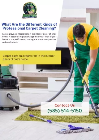 What Are the Different Kinds of Professional Carpet Cleaning?