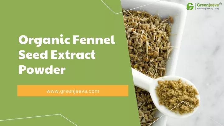 organic fennel seed extract powder